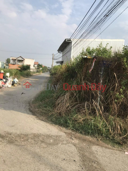 HOT HOT- LOT OF Land FOR SALE URGENTLY IN Hamlet 3, Long Dinh Commune, Can Duoc, Long An Vietnam, Sales, đ 2.3 Billion