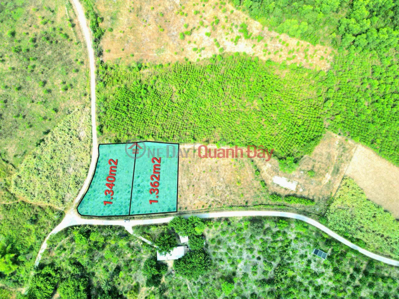 Selling 2 beautiful and cheap plots of land from only 850 million in Khanh Nam, Khanh Vinh Location: Sales Listings