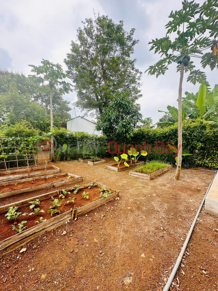 Chỉ Một Lô Duy Nhất - 400M² Mặt Tiền Đường 11M Tại Greenery House Long Tân Niêm yết bán