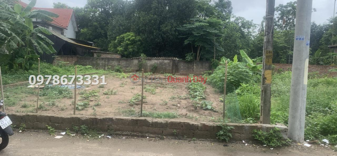 161M2 LAND FOR SALE IN LAM DIEN-CHUONG MY | Vietnam, Sales | đ 3 Billion