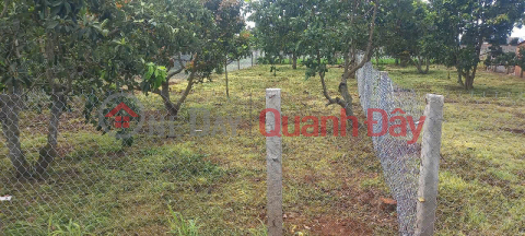 Bán 394m2 đất xã tân hội, đức trọng lâm đồng _0