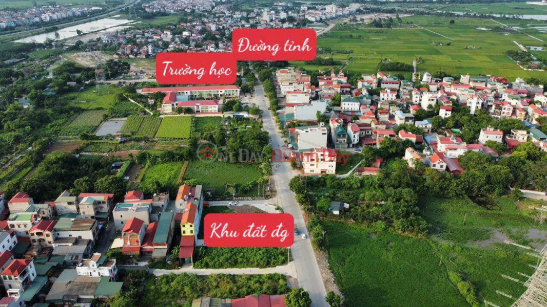 Property Search Vietnam | OneDay | Residential Sales Listings Dong Anh auction land for 2.3 billion 70m2