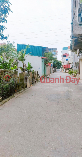 Property Search Vietnam | OneDay | Residential | Sales Listings Cheap, land in Ha Huy Tap, Yen Vien 40 million\\/m, 158m, bypass road, spacious living, close to the street