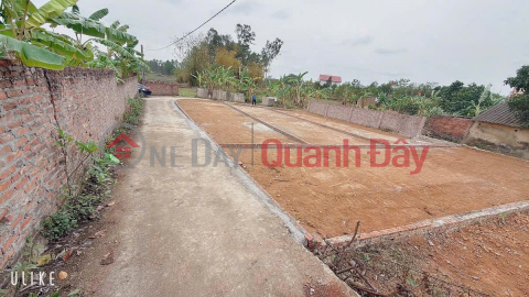 GOOD PRICE AT SON DOAI TAN MINH SOC SON HANOI -- AREA 80 M FUN RESIDENTIAL LAND _0