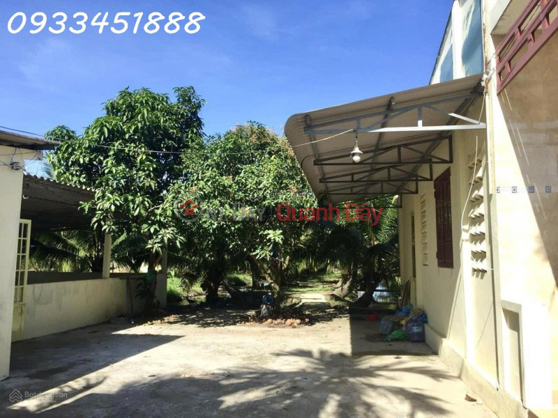 Property Search Vietnam | OneDay | Nhà ở Niêm yết bán, Nhà vườn dừa cây ăn trái với gara nhà kho và 2 mặt tiền