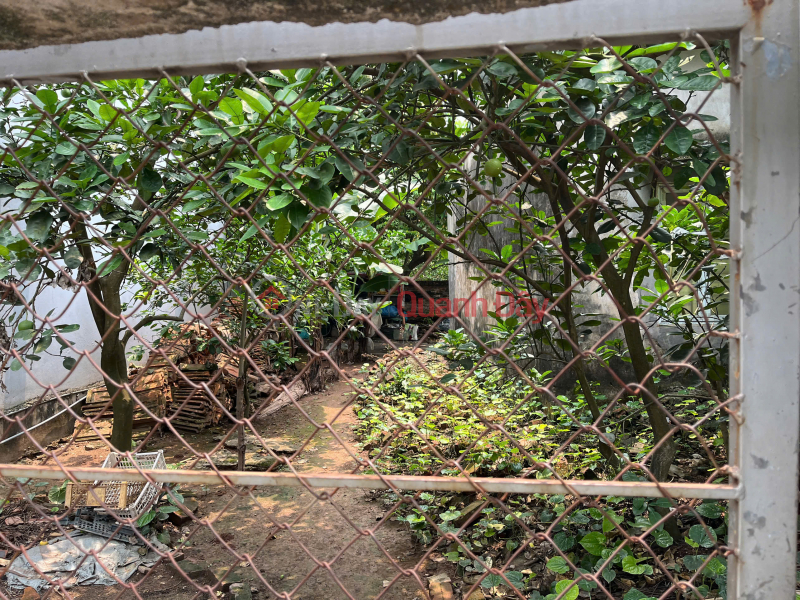 SELLING 150m2 of land in Ha Trai (Thong Nhat) Long Bien, frontage 9m, car, business, price 12.5 billion. Sales Listings