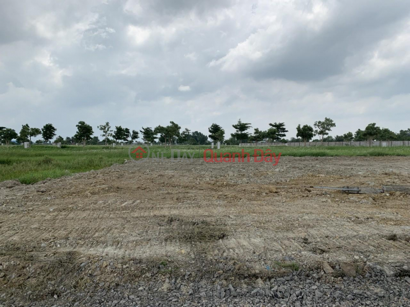 Property Search Vietnam | OneDay | Residential | Sales Listings | OWNER LAND - GOOD PRICE - For Quick Sale 2 Lots of Land Adjacent to Phi Truong Residential Area, Tan Lan, Can Duoc, Long An