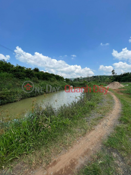 Property Search Vietnam | OneDay | Residential | Sales Listings BEAUTIFUL LAND - GOOD PRICE - Land Lot For Sale Prime Location In Di Linh District, Lam Dong