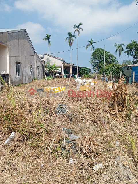 OWNER NEEDS TO SELL LAND ON NGUYEN TRI PHUONG STREET FOR 6.5 BULLION _0