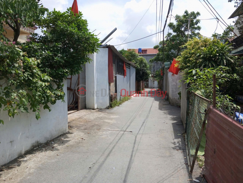 Land for sale in Thuan Thanh, Bac Ninh. 75m2 * frontage 5m * 2 billion. corner lot. car accessible. Sales Listings