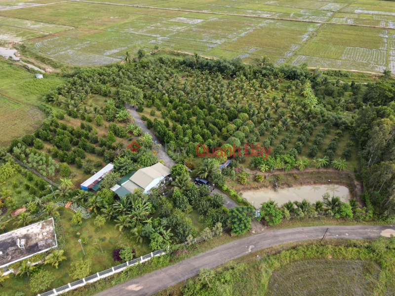 Property Search Vietnam | OneDay | Nhà ở | Niêm yết bán, Bán Nhanh Fram Ninh Hưng 1,6ha.Đường Nhựa 5m,Cách TTHC chỉ 1km