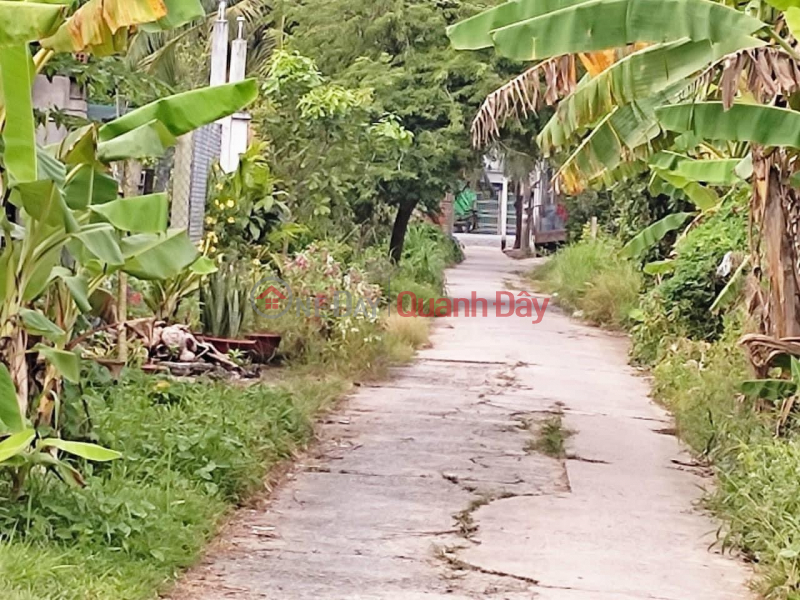 Property Search Vietnam | OneDay | Residential Sales Listings OWNER NEEDS MONEY TO EXHAUST HOLE Beautiful Land In Tien Thuy Town, Chau Thanh, Ben Tre