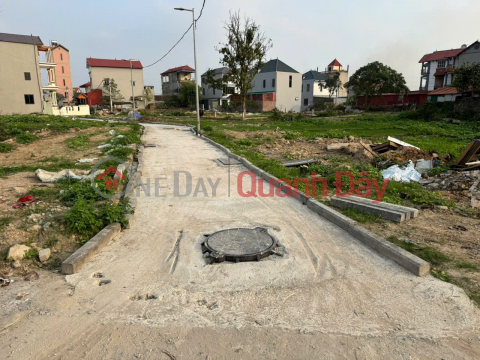 For only 2 billion VND - own 69m² of land right next to the paved road, adjacent to Quang Minh Industrial Park. _0