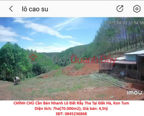 OWNER Needs to Quickly Sell 7ha Farmland Plot in Dak Ha, Kon Tum _0