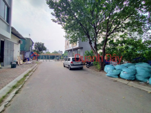 Land in Thach Ban auction area, Long Bien, sidewalk, car bypass, near Aeon, 52m, 5 billion 6 _0