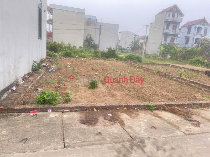 Urgent sale of 50m² land in Group 10, Quang Minh. Accessible road, parking available. Near industrial zone. Vietnam, Sales, đ 2.95 Billion