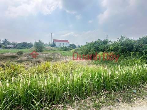 Land for sale on Rừng Sát road frontage, opposite Hiệp Quế gas station, Bình Khánh, Cần Giờ. _0