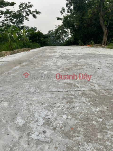 OWNER'S LAND - PRIME LOCATION - Land in Dinh Cuong, Xuan Lai, Gia Binh, Bac Ninh _0