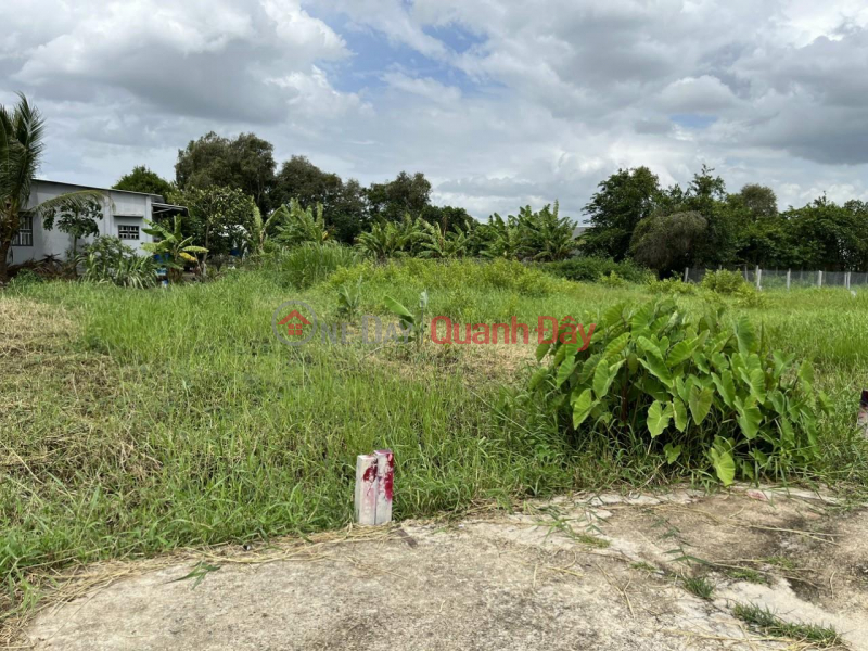 HOT HOT TO OWN A BEAUTIFUL LOT OF LAND - GOOD PRICE IN Can Giuoc, Long An Sales Listings