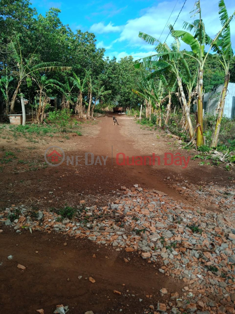 Owner Needs to Sell Agricultural Land, Thanh Nhat Ward, Buon Ma Thuot City _0