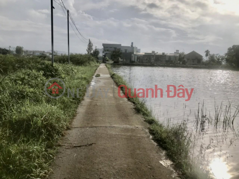 OWNER FOR SALE Field Plot In Area 2, Nhon Binh, Quy Nhon City, Binh Dinh _0