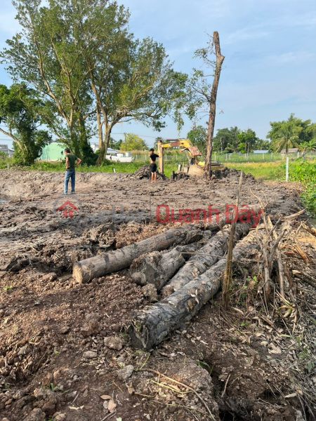 OWNER FOR SALE 2316.5m of Land for Perennial Plants, 600k m2 Land, Beautiful Location Chau Thanh, Kien Giang | Vietnam | Sales đ 3.5 Billion