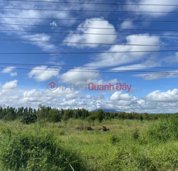 Property Search Vietnam | OneDay | Residential, Sales Listings urgent sale of level 4 house at Thac Ba street, Lac Thuan quarter, Lac Tanh town, Tanh Linh district, Binh Thuan province