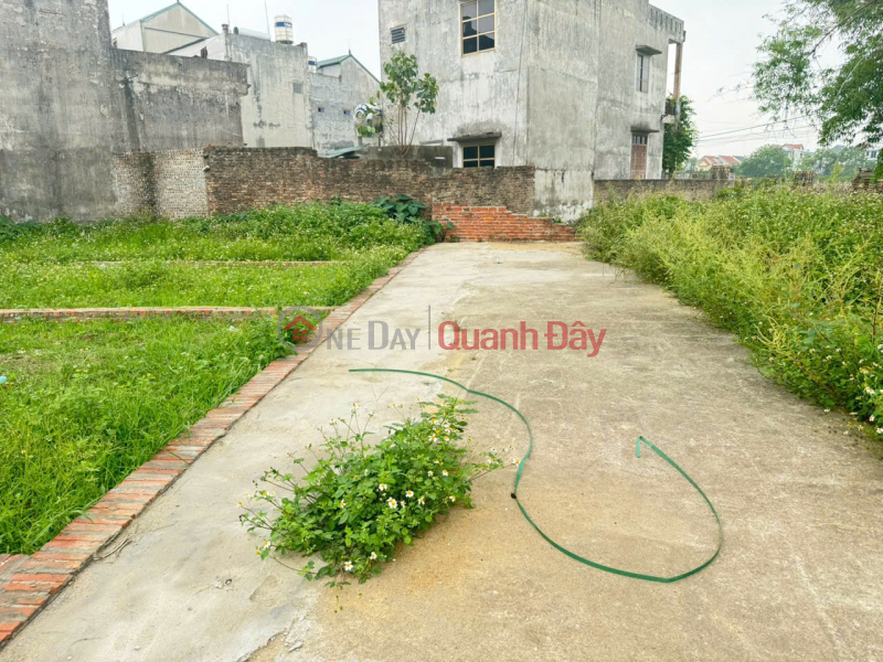 Beautiful land, Group 9, Quang Minh Town, Me Linh. Near Industrial Park and Tue Tinh Medical and Pharmaceutical College Sales Listings