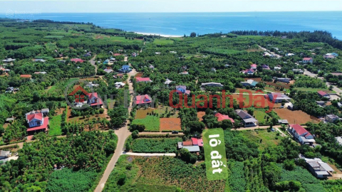 Selling land lot of 245m2 (7x35m) in Cua Tung town beach area. _0