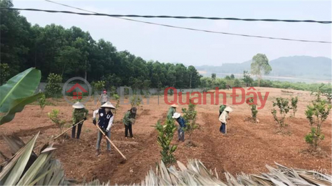 CHÍNH CHỦ CẦN RA GẤP Lô Đất - Giá Đầu Tư Tại Đập Cửa Ông - Nam Nghĩa - Nam Đàn - Nghệ An _0