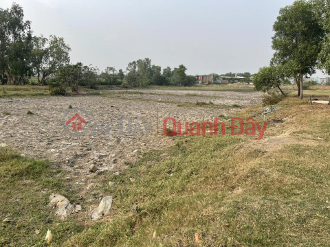 OWNER - For Urgent Sale of Land Lot with 2 Fronts More Than 2000 M2 In Vinh Loc B, Binh Chanh. _0