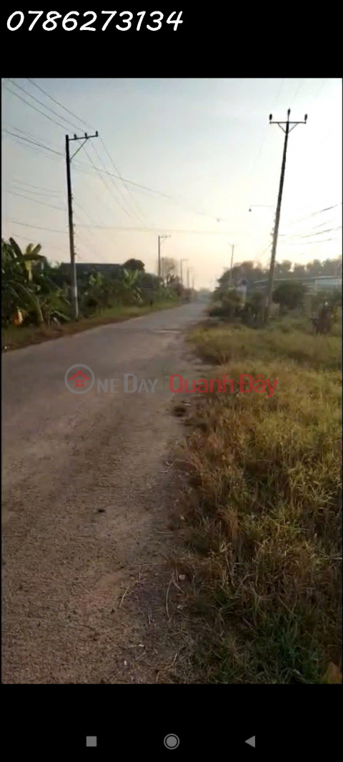 BÁN ĐẤT MẶT TIỀN 30M – TỔNG 6.975m² – CÓ 975m² THỔ CƯ – ẤP 2, XÃ TÂN ĐÔNG, HUYỆN Thạnh Hóa _0