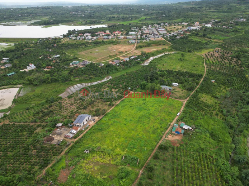 đ 180 Million Own a Beautiful Land Lot, Prime Location In Krong Nang District, Dak Lak