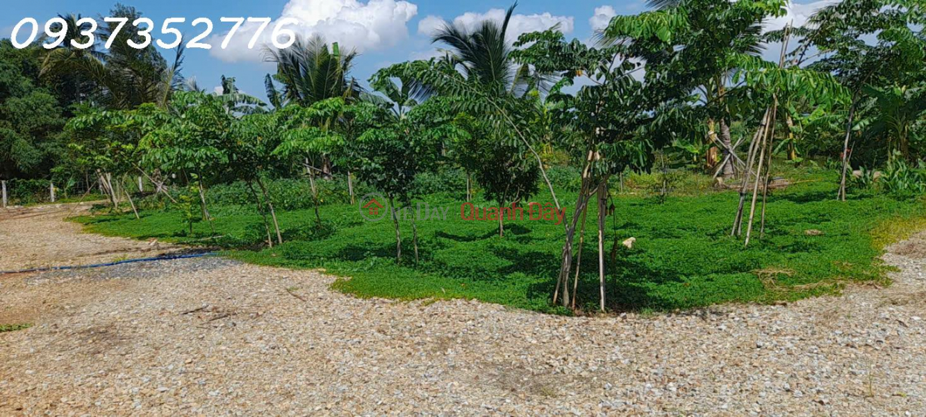 For sale: A prime 13,000m2 plot of residential land located right in the center of Chau Pha commune, surrounded by a stream., Vietnam | Sales đ 58 Billion