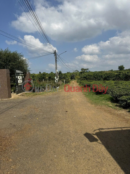 Property Search Vietnam | OneDay | Nhà ở, Niêm yết bán, ĐẤT ĐẸP – GIÁ TỐT – CHÍNH CHỦ CẦN BÁN GẤP tại Thị Trấn Lộc Thắng, Bảo Lâm, Lâm Đồng