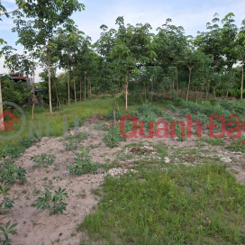 Sang nhượng đất mặt tiền đường Phạm Thị Quới, Xã Phú Mỹ Hưng, Huyện Củ Chi, TP.HCM _0