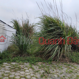 Attractive investment opportunity: 1.4 sao of land (540m²) priced at just over 1 billion _0