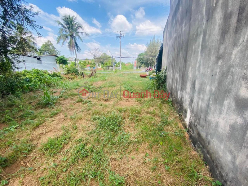 Owner - Quick Sale of Land Lot at Provincial Road DT 885, Luong Hoa Commune, Giong Trom, Ben Tre Sales Listings