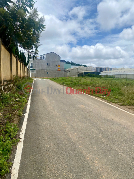 FOR SALE LAND IN RESETTLEMENT AREA OF CHILDREN'S HOSPITAL - WARD 7 - DA LAT | Vietnam | Sales đ 5.5 Billion