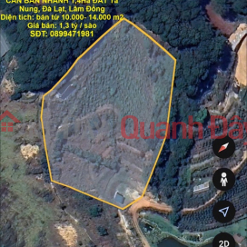 ĐẤT ĐẸP – GIÁ TỐT – CHÍNH CHỦ CẦN BÁN NHANH 1,4Ha ĐẤT Tà Nung, Đà Lạt, Lâm Đồng _0