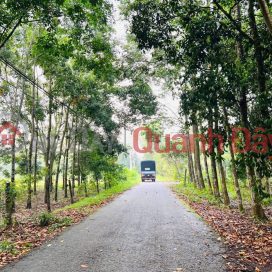Urgent land for sale on Pham Thi Quoi asphalt road (LG 12m),Phu My Hung; Cu Chi, Ho Chi Minh. _0