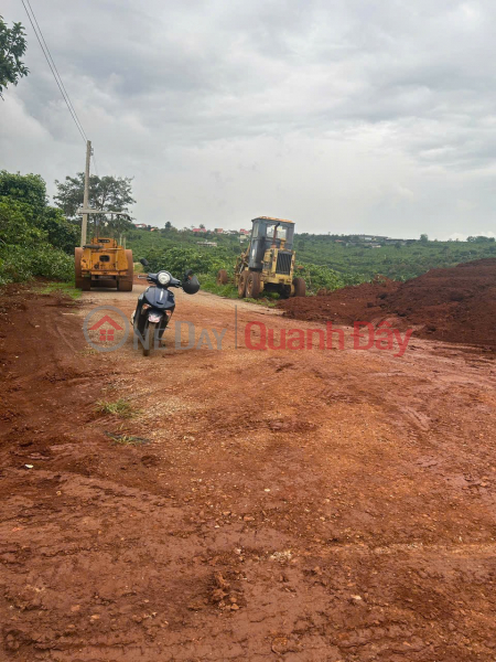 BEAUTIFUL LAND - GOOD PRICE OWNER SELLS BEAUTIFUL LAND IN PRIME LOCATION IN DI LINH - LAM DONG Sales Listings