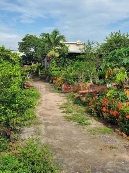 HXT Garden Land 722m2, Back expansion - Xuan Thoi Thuong 2 HM Sales Listings
