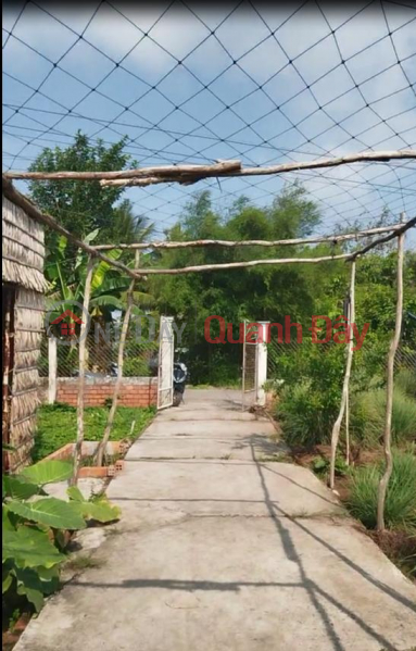 | Làm ơn chọn, Nhà ở Niêm yết bán, đ 2,5 tỷ
