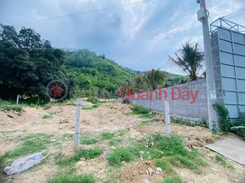 RESIDENTIAL LAND FOR SALE, FRONTAGE ON PROVINCIAL ROAD 3, CAM LAM - SUITABLE FOR WAREHOUSE CONSTRUCTION - SELLING PRICE 2.950 BILLION! _0