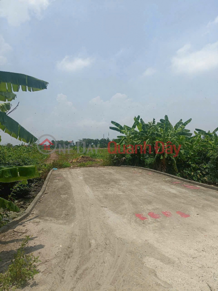 1.7xx BILLION VND – CORNER PLOT ON QUYET TIEN ROAD, HOP DUC, WITH A 6M BRIDGE ALREADY BUILT. ZALO 0567 222 555 Sales Listings