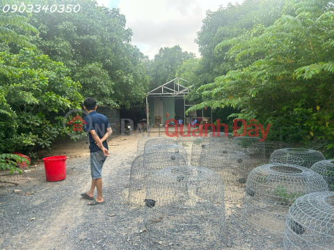 Selling a prime plot of land with frontage on Nhi Binh 18 asphalt road, Hoc Mon, HCM, area 3,156m2. Excellent investment opportunity. _0