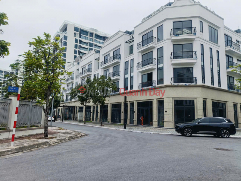 SUPERIOR CLASS OF THE UPPER CLASS - ADJACENT TO DIAMOND POINT - C14 PHUC DONG - LONG BIEN Sales Listings