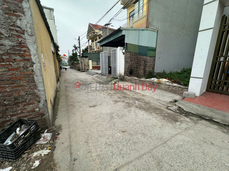 Selling 96m2 of land in Son Du, Nguyen Khe - Car access - 30m from inter-commune road Sales Listings
