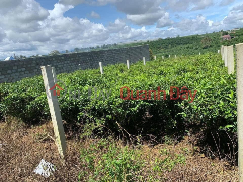 GENERAL FOR SALE QUICKLY 2 Beautiful Land Lots Prime Location In Loc Thang Bao Lam, Lam Dong _0